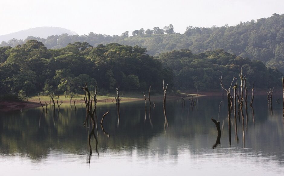 Thekkady Idukki