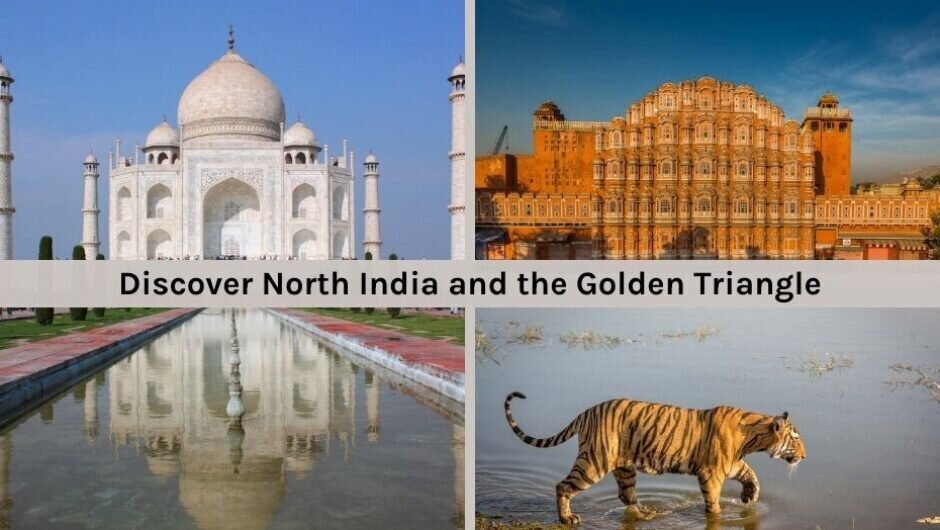 Discover North India and the Golden Triangle Video