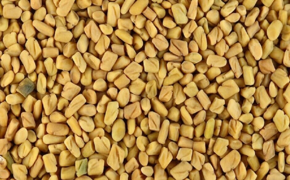 favourite indian spices fenugreek