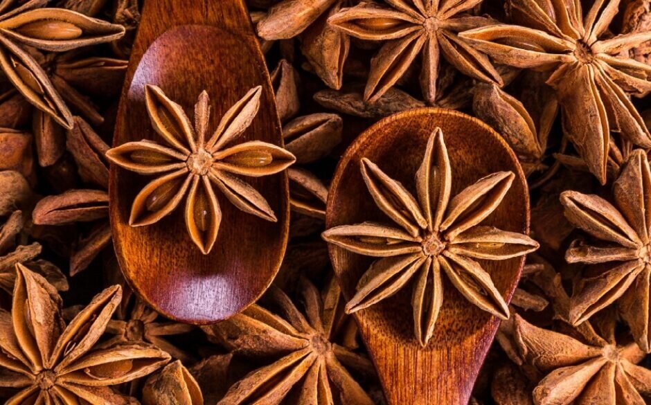 favourite indian spices star anise