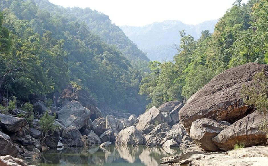 The Best National Parks in India Satpura
