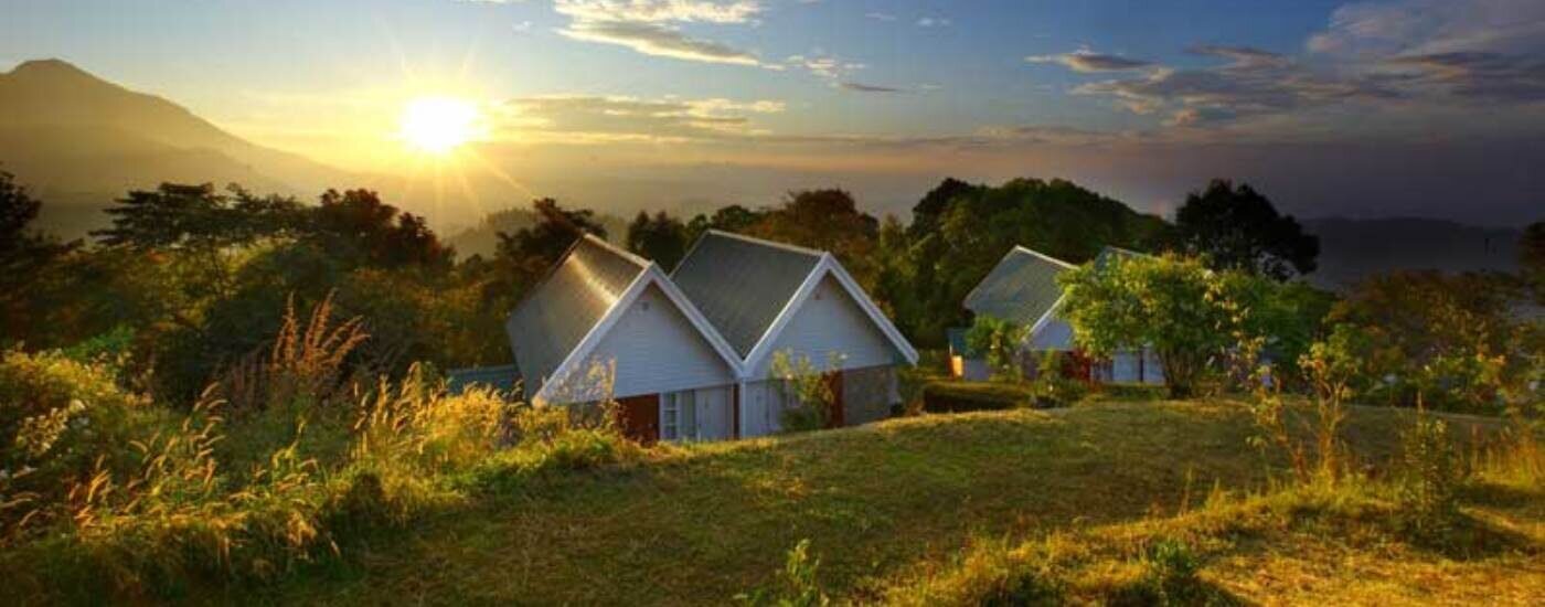 Ambady Estate, Munnar, Kerala