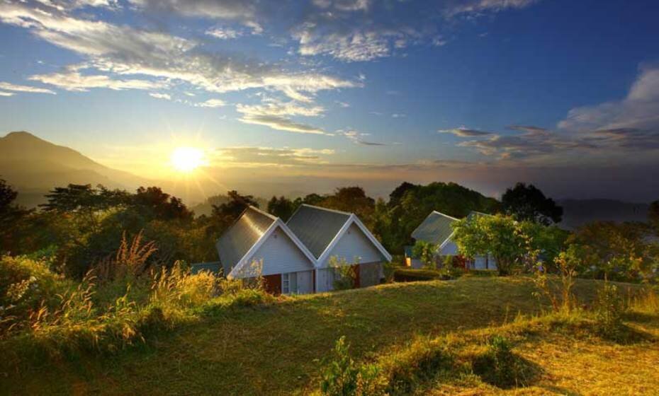 Ambady Estate, Munnar