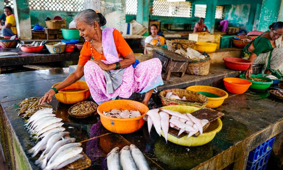Bandoli Fish Market, Goa