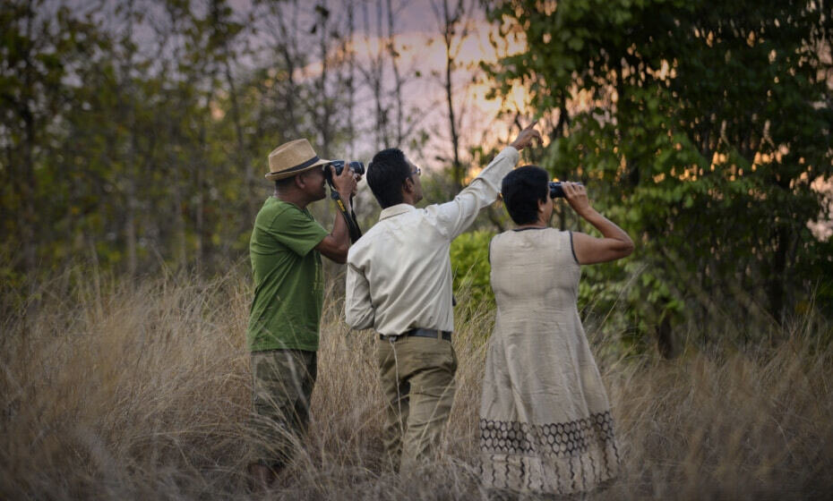 Bird Watching, Pench National Park, Pench, Madhya Pradesh