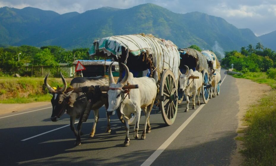 Tamil Nadu Countryside