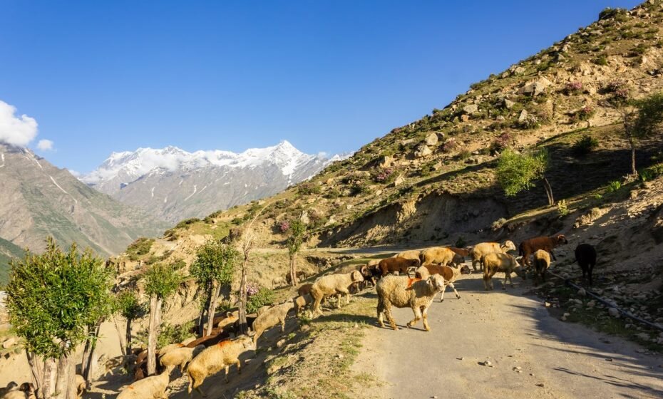 Keylong, Himachal Pradesh