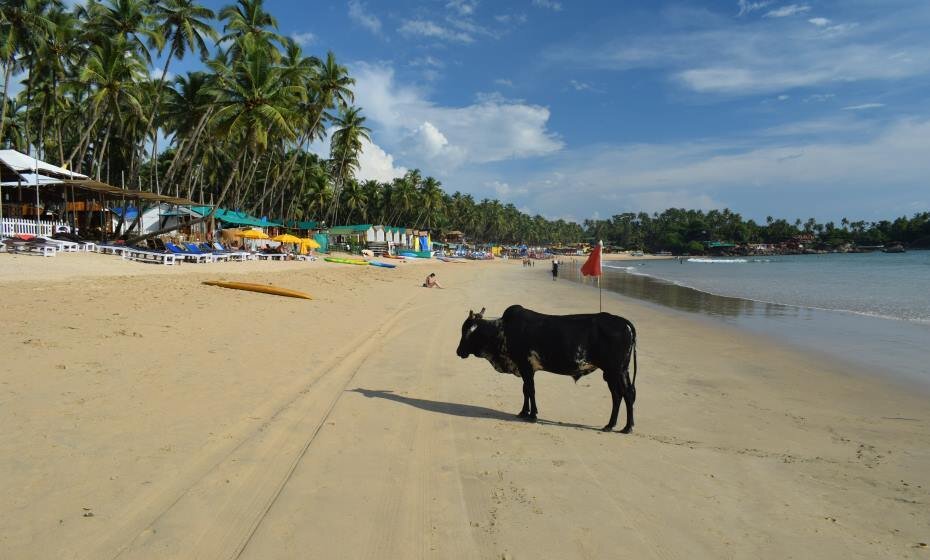Beaches, Goa