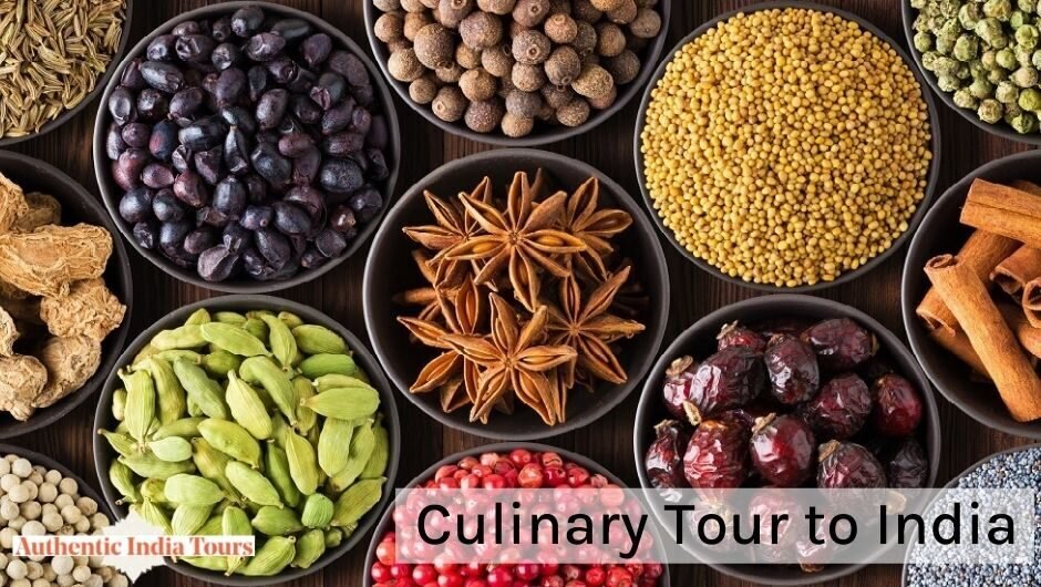 Culinary Tour to India Video