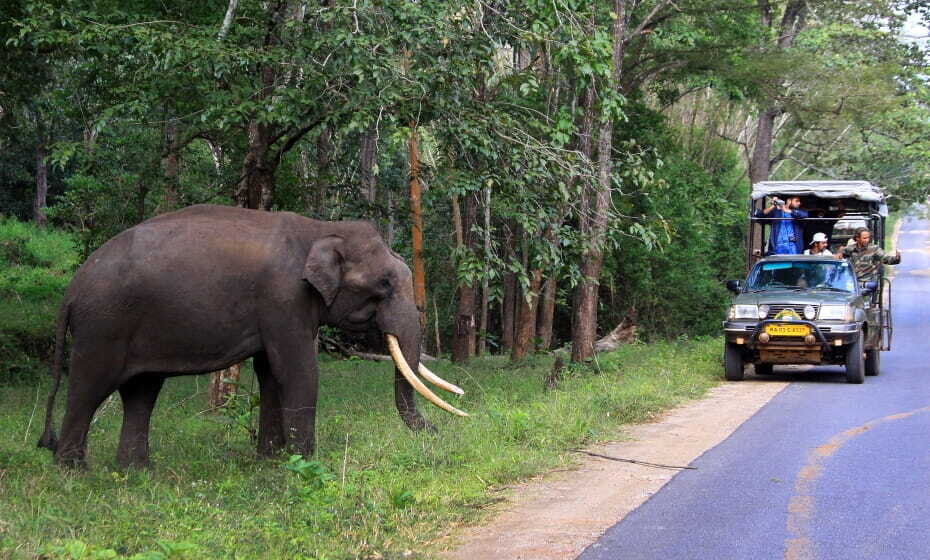 Nagarhole National Park, Kabini, Karnataka