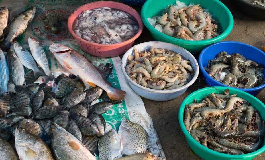 Fish Market, Cochin (Kochi), Kerala