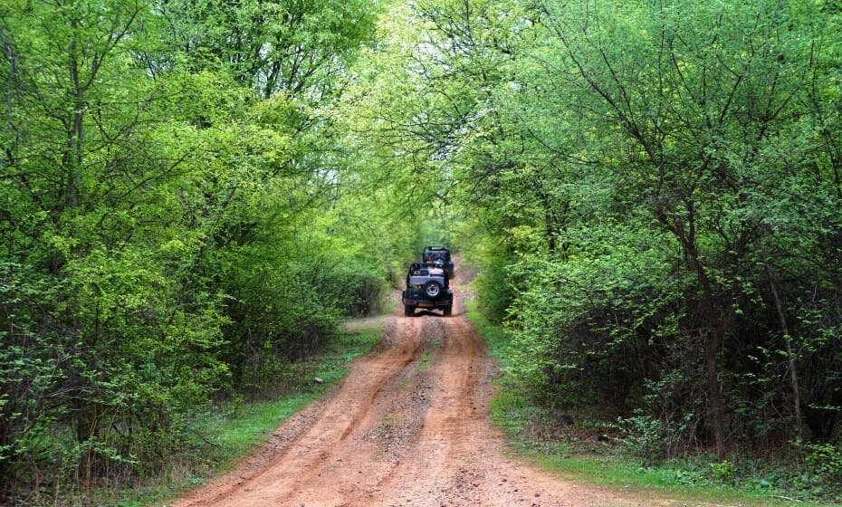 Jeep Safari, Ranthambore National Park, Rajasthan