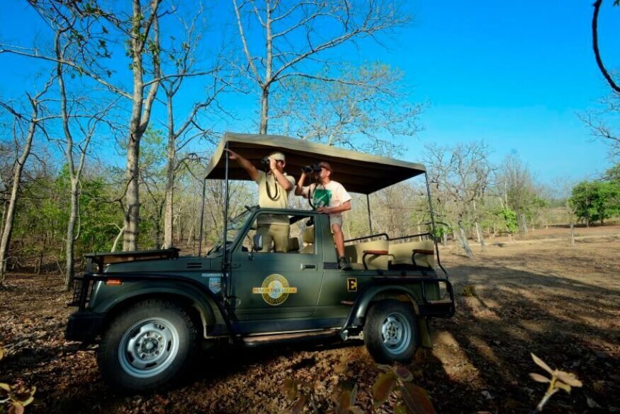 Jeep Safari, Pench National Park, Pench, Madhya Pradesh