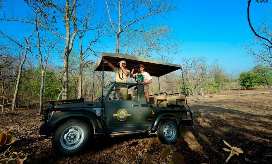 Jeep Safari, Pench National Park, Pench, Madhya Pradesh