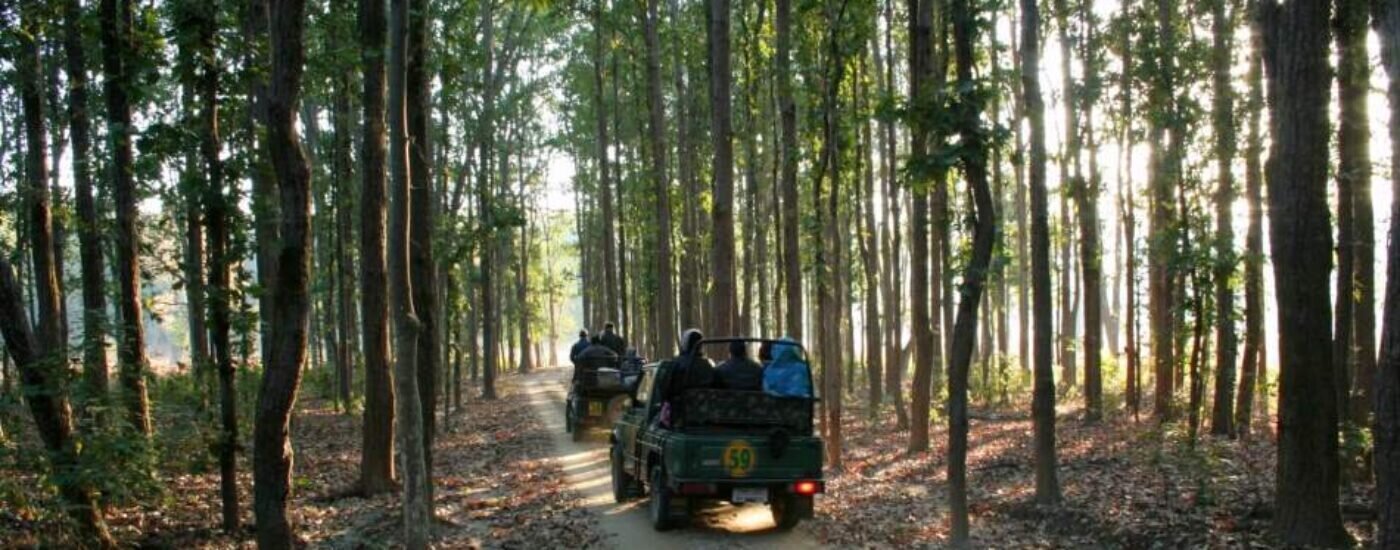 Kanha National Park, Madhya Pradesh