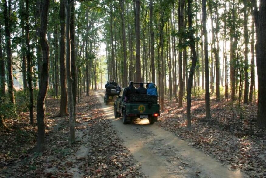 Kanha National Park, Madhya Pradesh