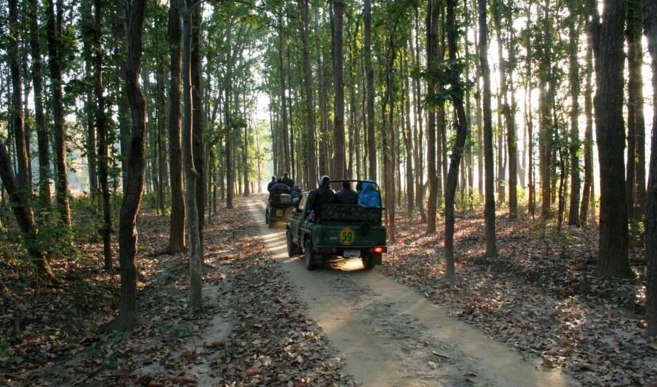 Kanha National Park, Madhya Pradesh