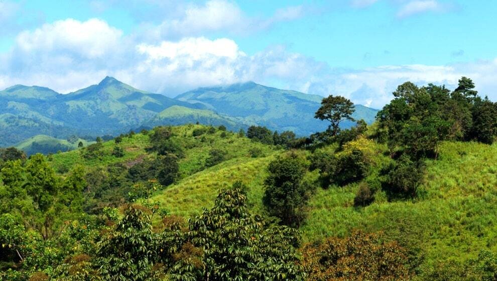 Landscape View, Wayanad