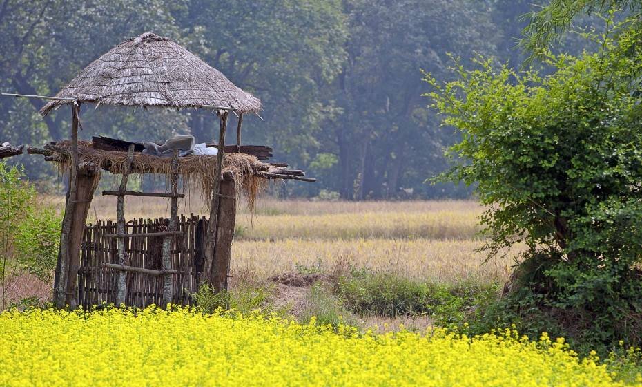 Kanha National Park, Kanha, Madhya Pradesh