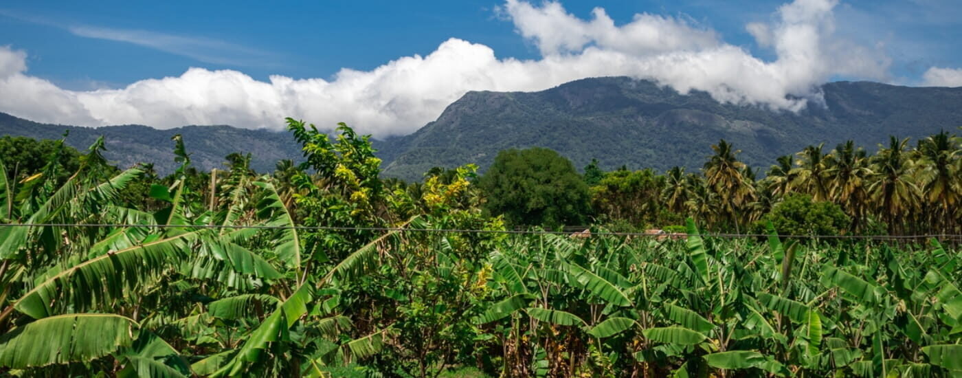 Mountains Velliangiri View, Coimbatore, Tamil Nadu