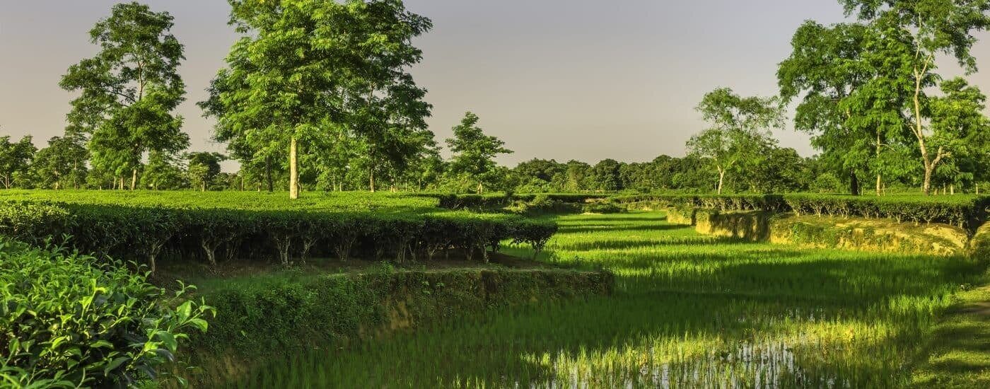 Chikmagalur Karnataka
