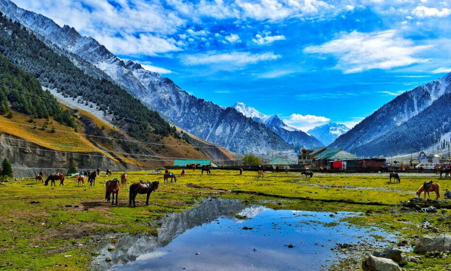 Pahalgam Valley, Jammu and Kashmir