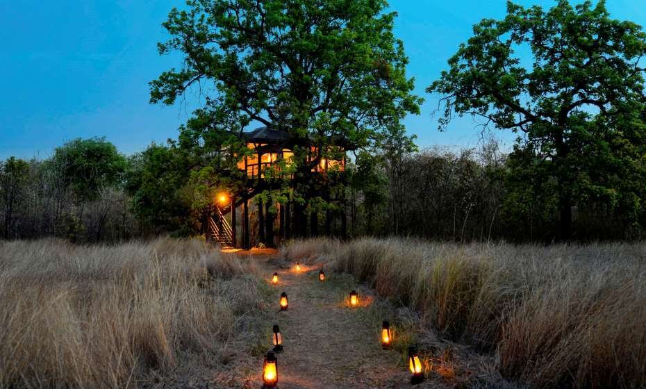 Pench Tree Lodge, Pench National Park, Pench, Madhya Pradesh