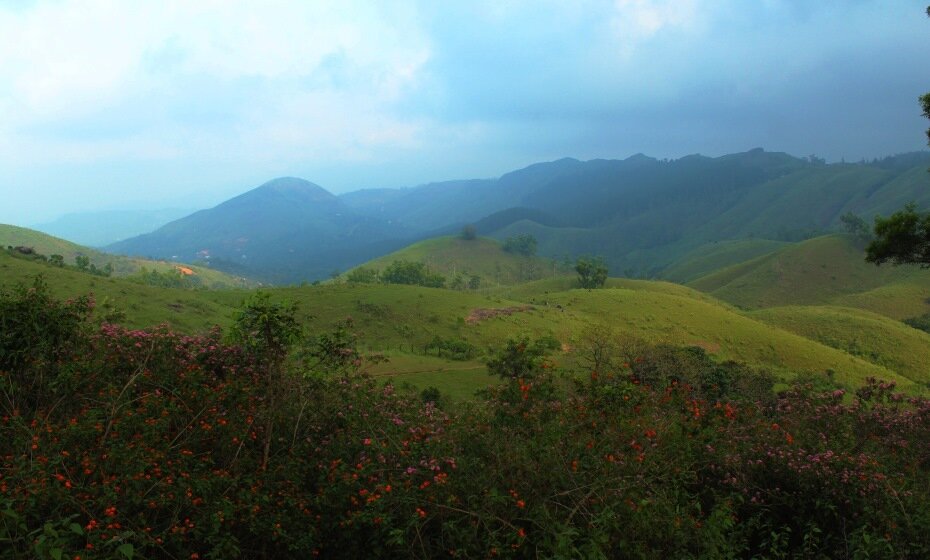 Picturesque Hill Station, Vagamon, Teekoy