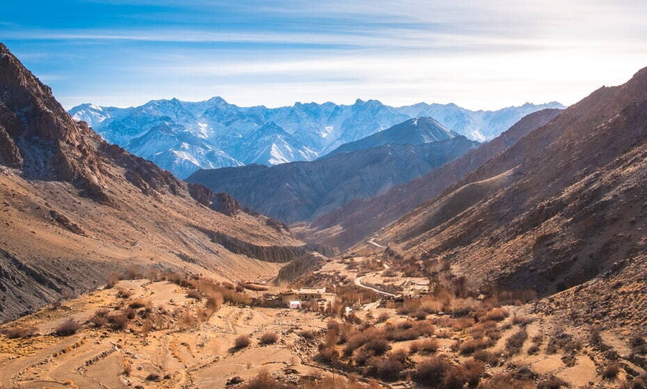 Snow Leopard Valley, Ladakh, Jammu and Kashmir