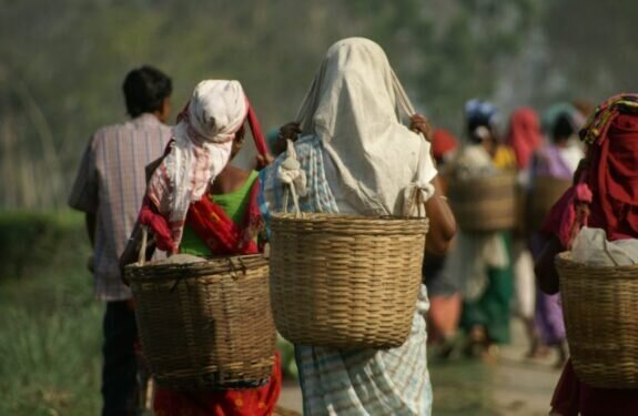 Tea Plantation Workers, Jorhat