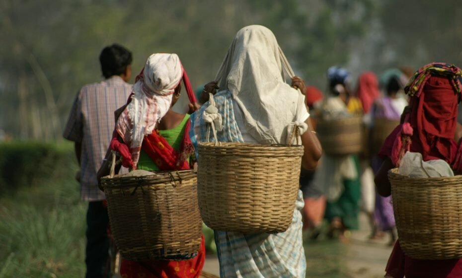 Tea Plantation Workers, Jorhat