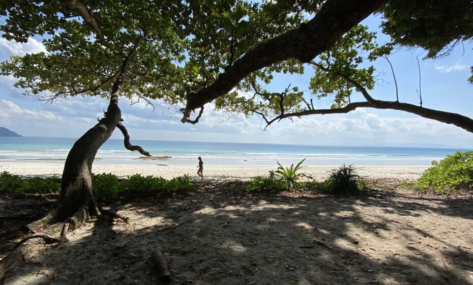 The Place to Unwind, Havelock Island, Andaman