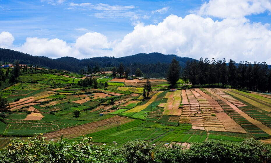 Ooty, Tamil Nadu