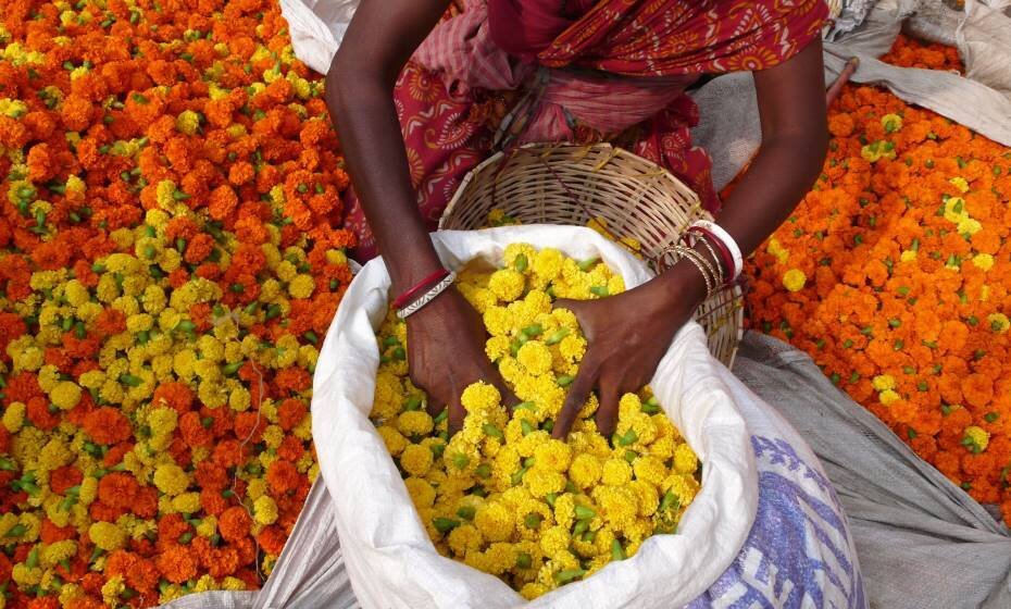 Flower Market, Kolkata, West Bengal