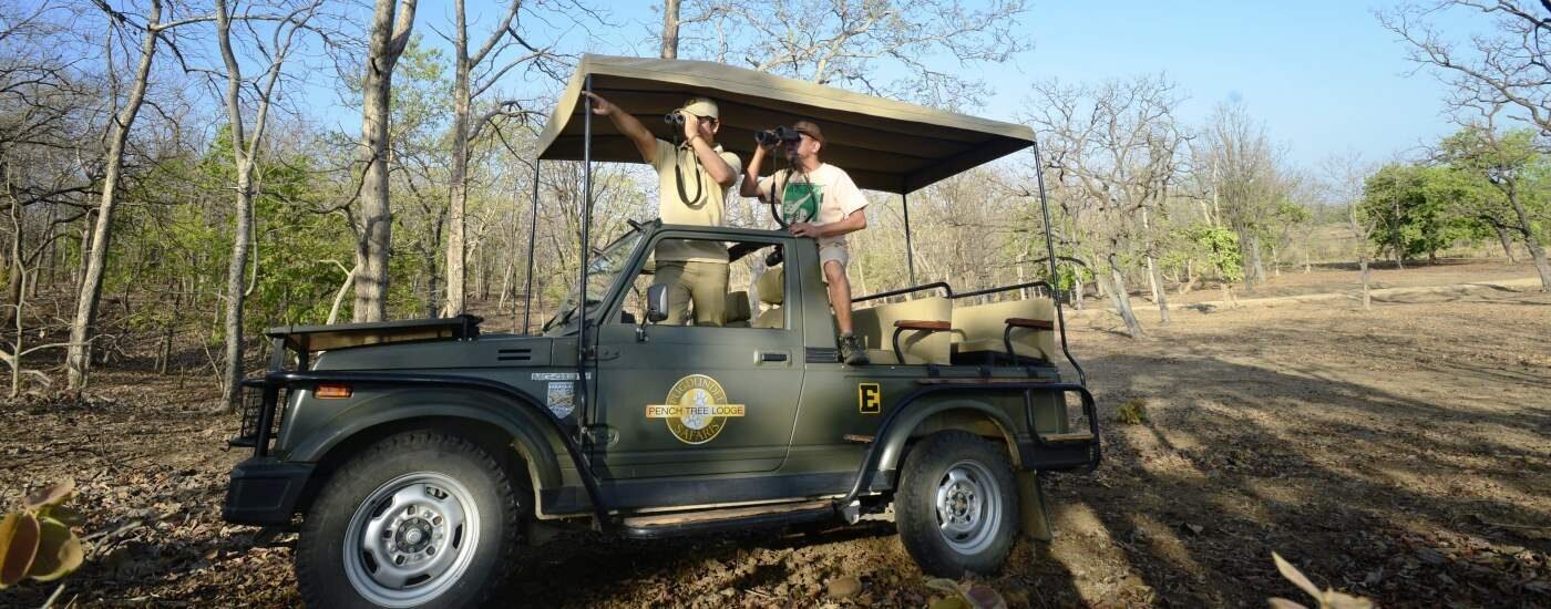 Jeep Safari at Pench National Park, Pench, Madhya Pradesh