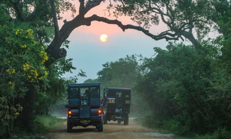 Jeep Safari at Yala National Park, Hambantota, Sri Lanka