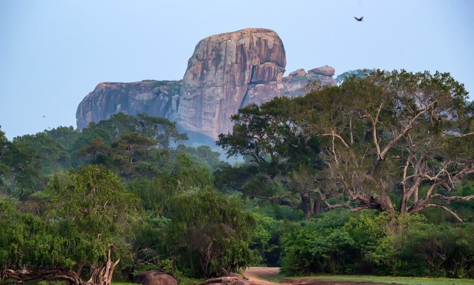 Yala National Park, Sri Lanka