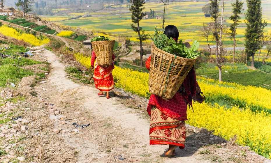 Country Life, Nepal