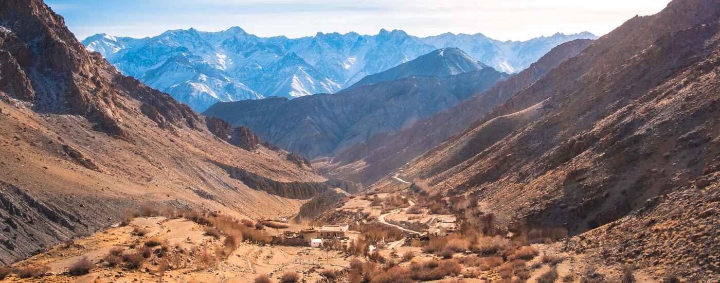 Snow Leopard Valley, Ladakh, Jammu and Kashmir