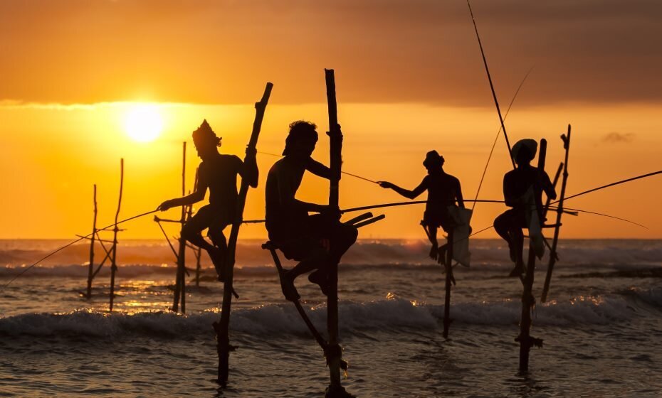 Stilt Fisherman, Galle, Sri Lanka