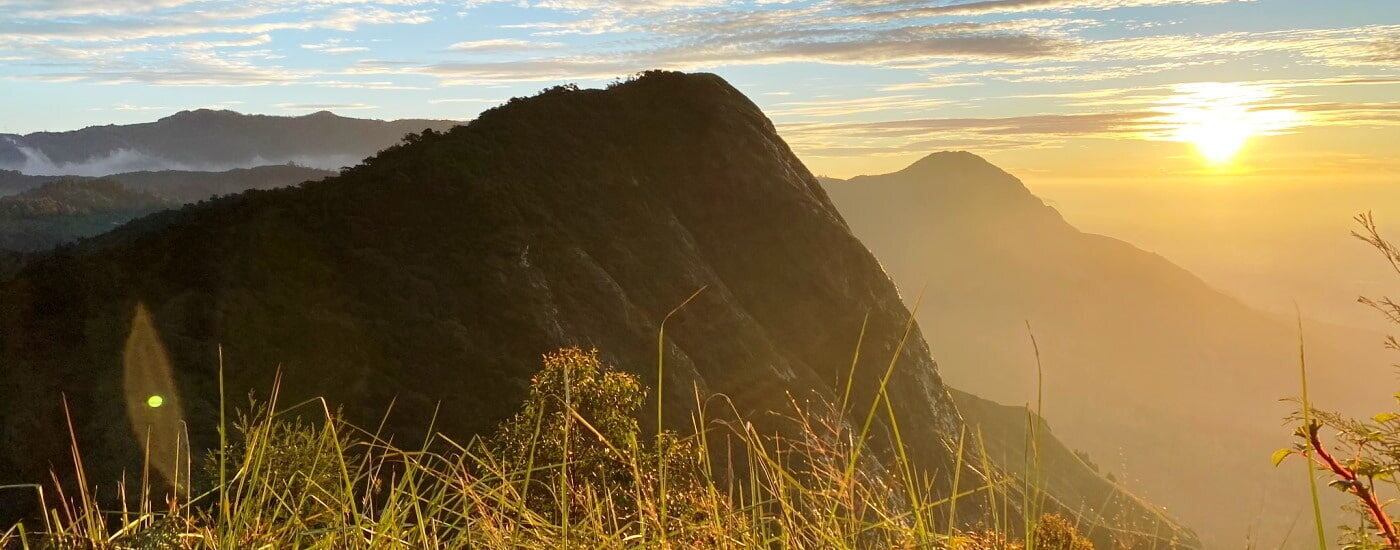 Yellapetty and Mount Meesapulimalai Western Ghats