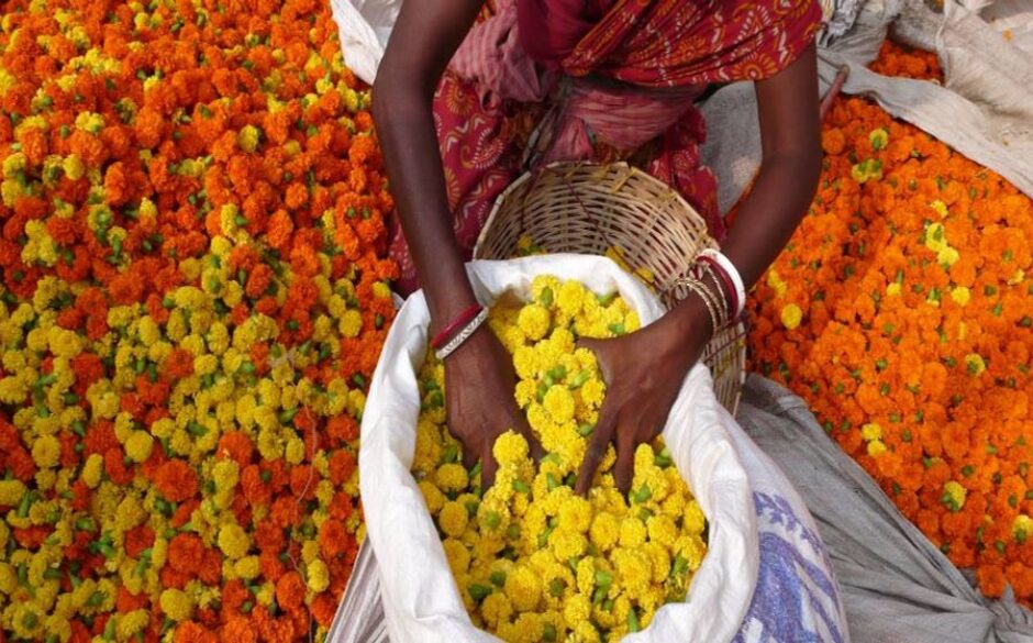 10 reasons to visit North East India Kolkata Flower Market