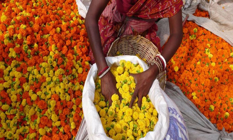 10 reasons to visit North East India Kolkata Flower Market