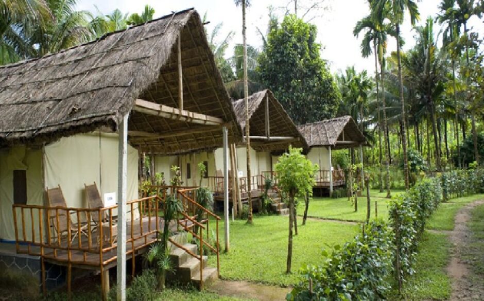 6 of the best eco holidays in South India hornbill camp