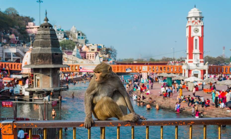 Ganges River, Haridwar, Uttarakhand