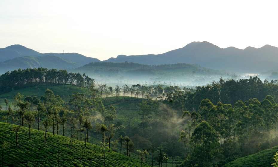 God's Own Country Group Tour of Kerala