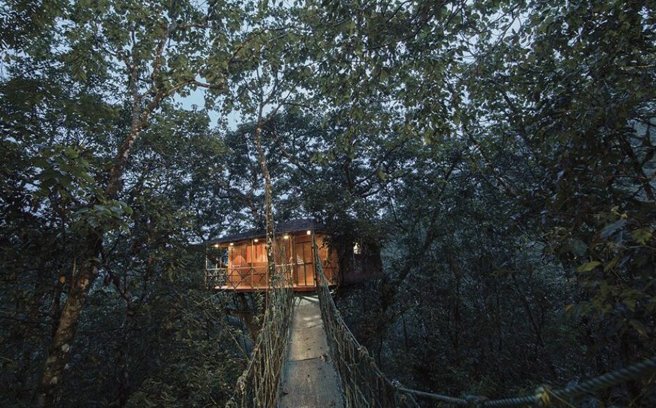 Honeymoon destinations in India Vythiri treehouse