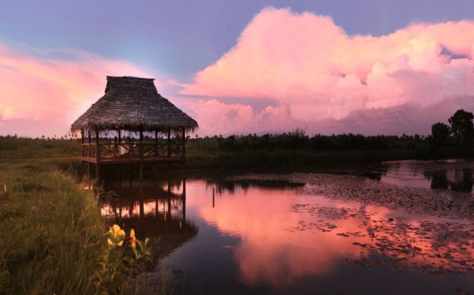 Honeymoon destinations in India coconut lagoon