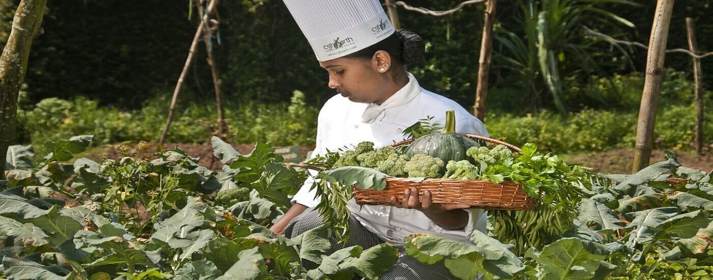 Ingredients of South Indian Cuisine