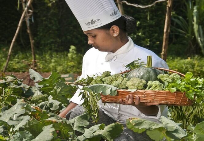 Ingredients of South Indian Cuisine